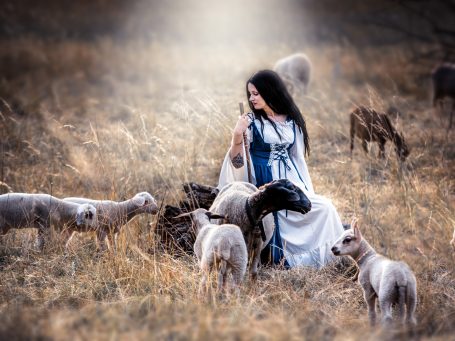 Schafskuscheln, Fotoshooting mit Schafsherde, Lamm Shooting, Lämmchen, Schafsshooting