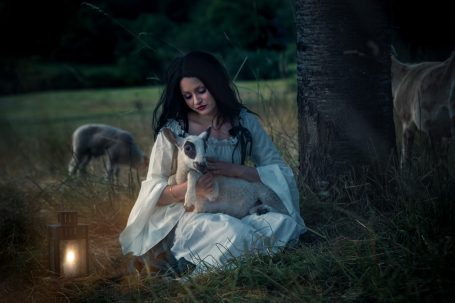 Schafskuscheln, Fotoshooting mit Schafsherde, Lamm Shooting, Lämmchen, Schafsshooting