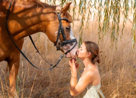 Pferdefotografie, Pferde Outdoor, Tierfotografie, Natur Shooting, Feld