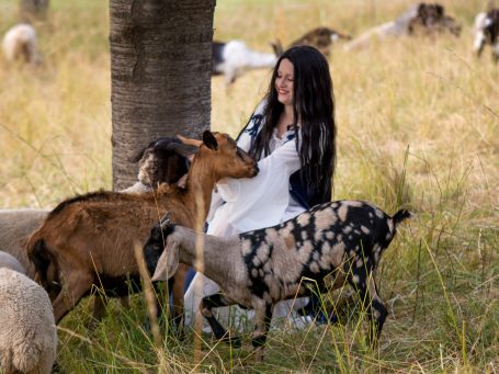 Schafskuscheln, Fotoshooting mit Schafsherde, Lamm Shooting, Lämmchen, Schafsshooting