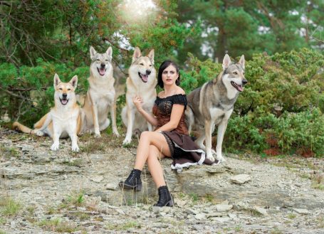 Wolfshundeshooting, Wolf, Wolfshund, Fotoshooting mit Wolfshund, Tschechoslowakaisch