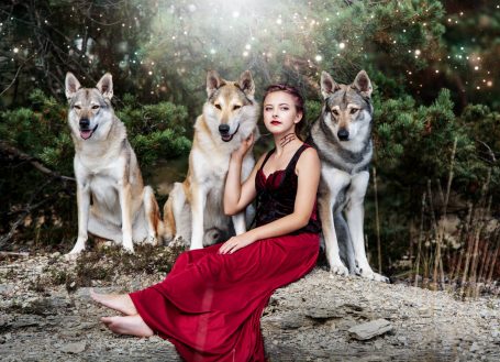 Wolfshundeshooting, Wolf, Wolfshund, Fotoshooting mit Wolfshund, Tschechoslowakaisch