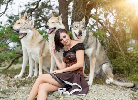 Wolfshundeshooting, Wolf, Wolfshund, Fotoshooting mit Wolfshund, Tschechoslowakaisch