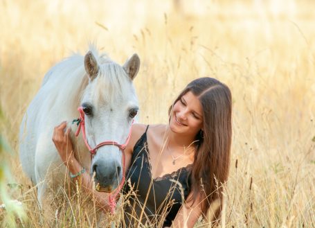 Pferdefotografie, Pferde Outdoor, Tierfotografie, Natur Shooting, Feld