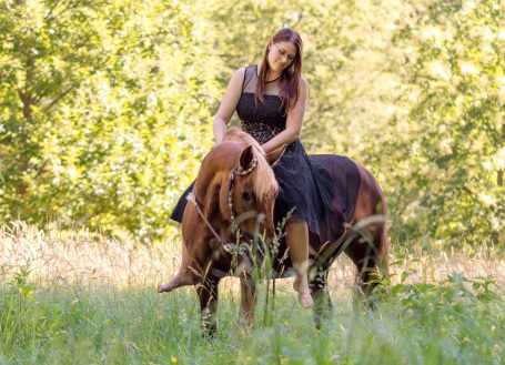 Pferdefotografie, Pferde Outdoor, Tierfotografie, Natur Shooting, Feld