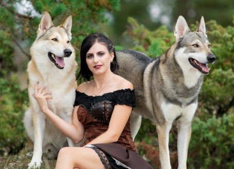 Wolfshundeshooting, Wolf, Wolfshund, Fotoshooting mit Wolfshund, Tschechoslowakaisch