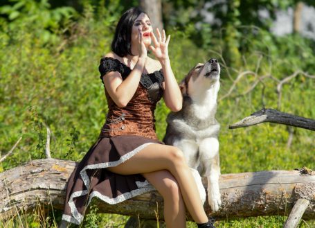 Wolfshundeshooting, Wolf, Wolfshund, Fotoshooting mit Wolfshund, Tschechoslowakaisch