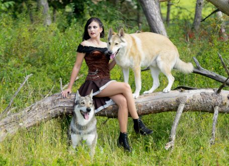 Wolfshundeshooting, Wolf, Wolfshund, Fotoshooting mit Wolfshund, Tschechoslowakaisch