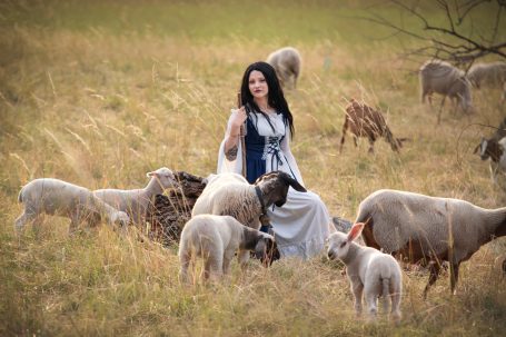 Schafskuscheln, Fotoshooting mit Schafsherde, Lamm Shooting, Lämmchen, Schafsshooting